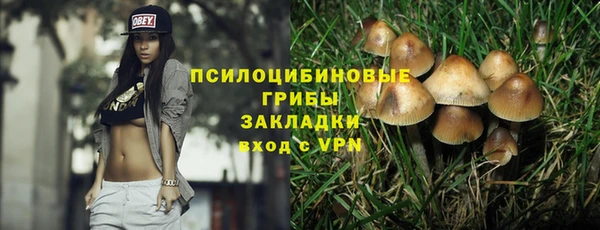 трава Строитель