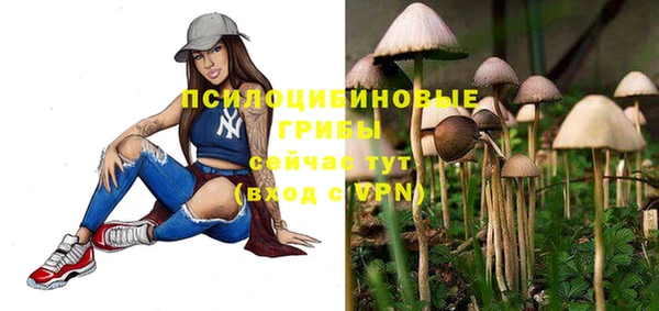 сатива Абдулино