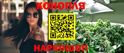 ГАЛЛЮЦИНОГЕННЫЕ ГРИБЫ Пугачёв