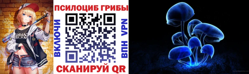 Псилоцибиновые грибы Psilocybe Аксай