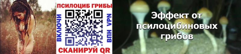 Галлюциногенные грибы MAGIC MUSHROOMS  Аксай 